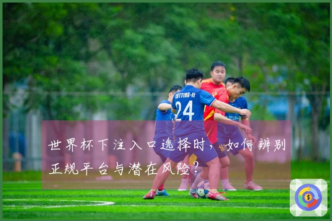 世界杯下注入口选择时，如何辨别正规平台与潜在风险？