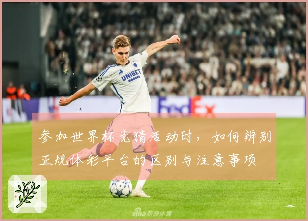 参加世界杯竞猜活动时，如何辨别正规体彩平台的区别与注意事项