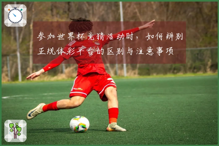 参加世界杯竞猜活动时，如何辨别正规体彩平台的区别与注意事项