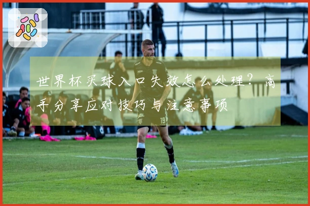 世界杯买球入口失效怎么处理？高手分享应对技巧与注意事项