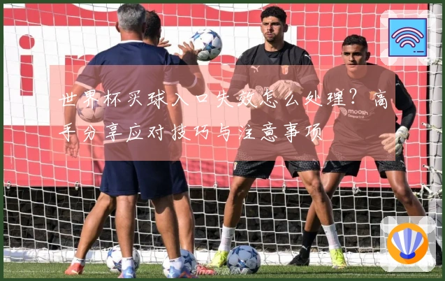 世界杯买球入口失效怎么处理？高手分享应对技巧与注意事项